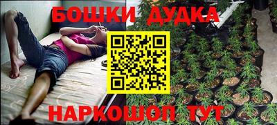 PSILOCYBIN Краснознаменск