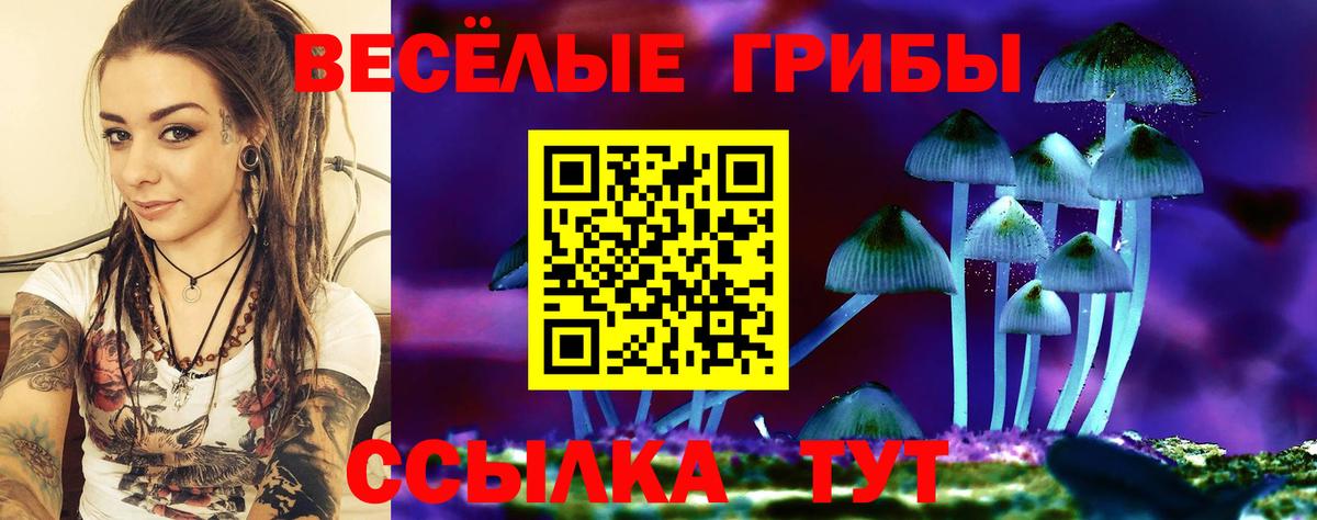 Якутск  Галлюциногенные грибы мицелий  Вход с VPN 